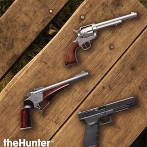 Buy theHunter: Call of the Wild - Assorted Sidearms Pack PC - DLC online