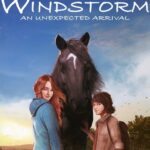 Buy Windstorm: An Unexpected Arrival Switch (Europe & UK) online